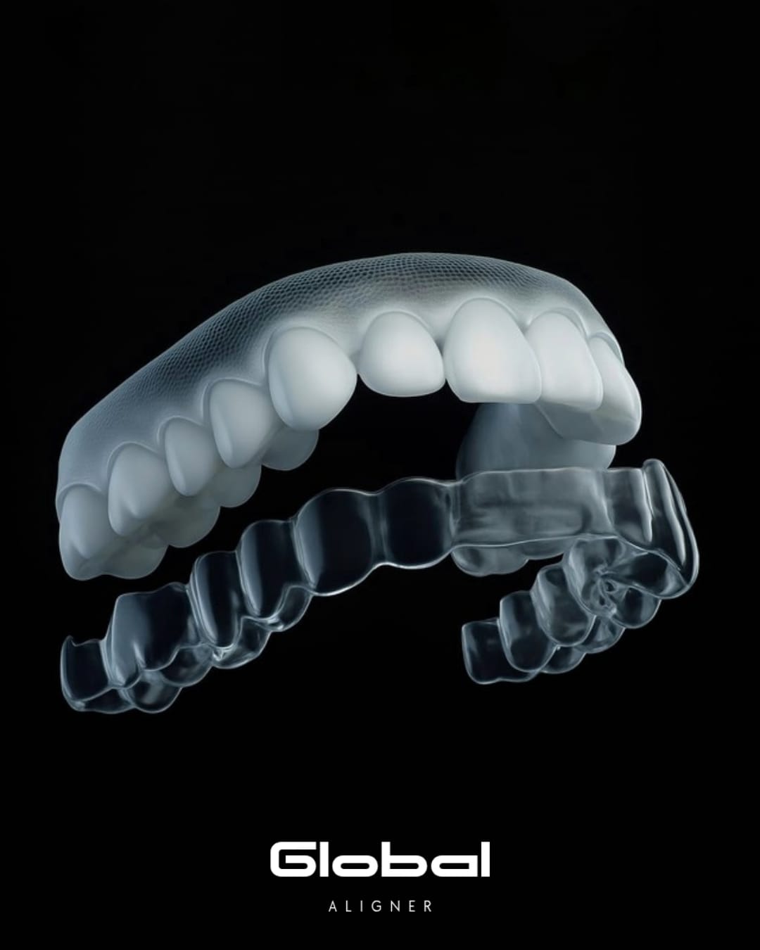 Globaligner 3D Diş Modeli